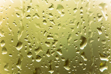 Water Droplets on Glass