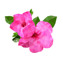 Low polygon pink flower with green leaf on white background