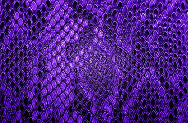 Snake skin background