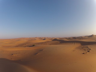 Fototapeta na wymiar Desert Landscape in Dubai