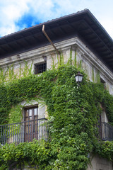 Casa con artesonado de madera y planta trepadora