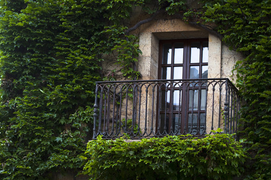 Balc&oacute;n rodeado de hiedra