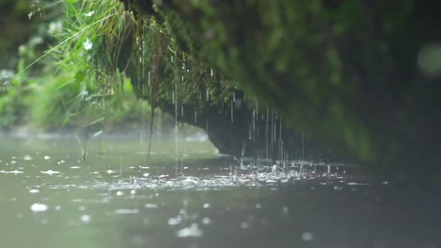Mossy spring waterfall and dribbles into slow flowing hazy river