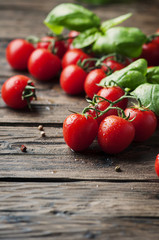 Fresh sweet tomato and green basil on the vintage table