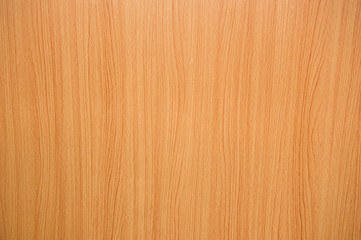 texture of wood background