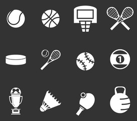 Sports Balls Icons set. Vector Illustration