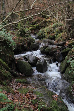 l'Amb&egrave;ne, Enval, 63