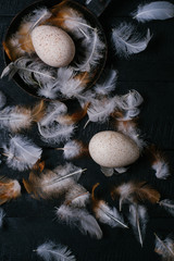 Eggs with feathers on a black wooden background vertical top view
