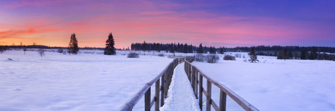 Boardwalk in the Hautes Fagnes, Belgium in winter at sunrise