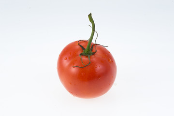 Tomato