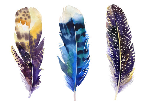 Hand drawn watercolor feather set.  Boho style. illustration iso