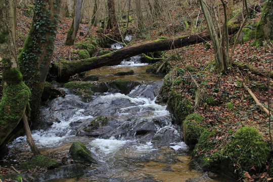 l'Amb&egrave;ne, Enval, 63