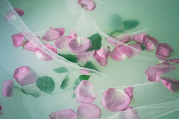 petals and leaves floating