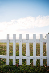 escape from the city