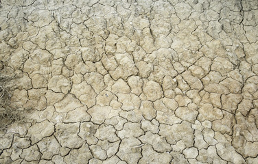 Arid cracked earth