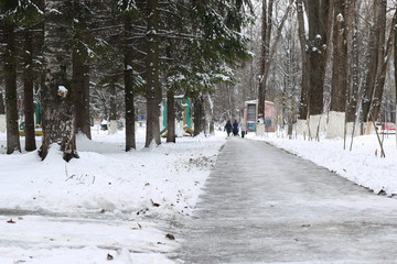 winter park path perspective