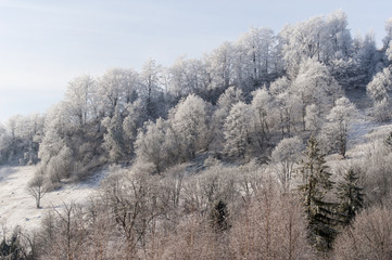 Winter landscape. Frost morning in mountains.