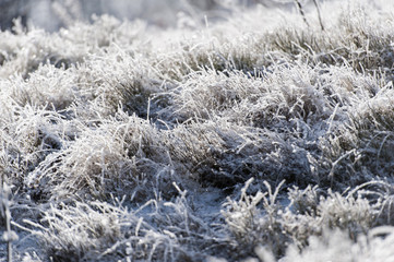 Winter landscape. Frost morning in mountains.