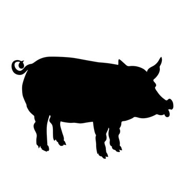 pig black  silhouette