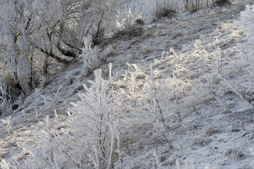 Winter landscape. Frost morning in mountains.