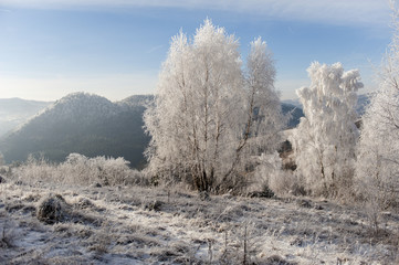 Winter landscape. Frost morning in mountains.