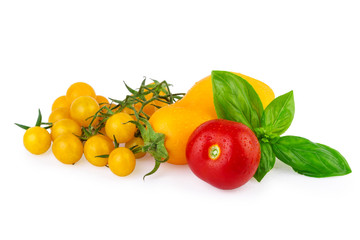 Various of Tomatoes for Cooking
