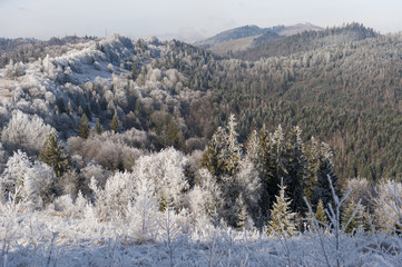 Winter landscape. Frost morning in mountains.