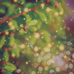Closeup of Green Christmas-tree. Christmas background.Toned retr