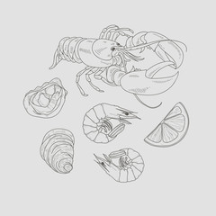 Vector seafood line drawing set