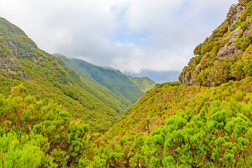 Natural landscape of Madeira