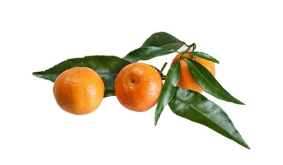 Tangerines with leaves on a white background.Isolated