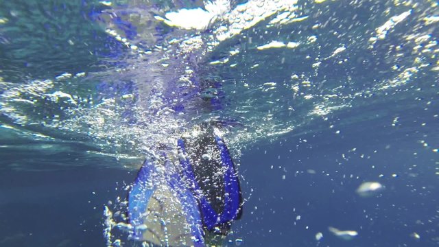 Underwater footage of a woman swimming in blue water Red Sea
