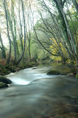 Autumn landscape with a river surrounded by trees