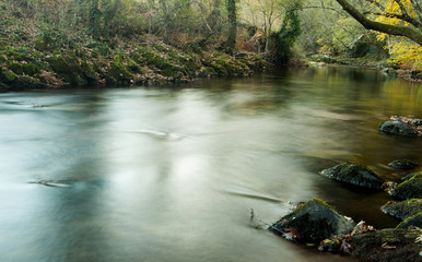 Autumn landscape with a river surrounded by trees
