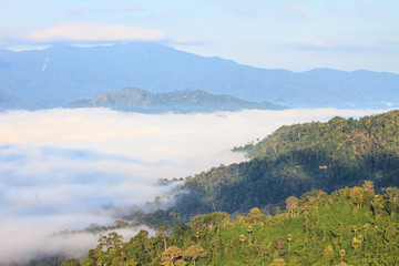 fog and cloud mountain valley landscape
