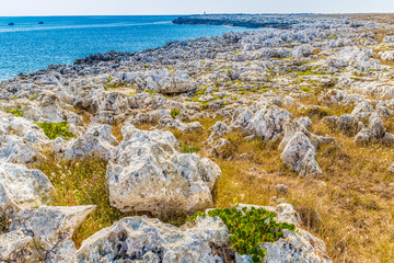 rocky beach on Adriatic Sea