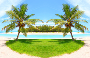 Fototapeta na wymiar Tropical beach and palm trees with coconuts, blue sea and sunny sky on a background. Ile Aux Cerfs Island ( Mauritius Island, Africa) on Indian Ocean.