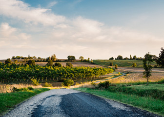 Country road in Gers, France - obrazy, fototapety, plakaty