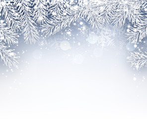 Fototapeta na wymiar Winter background with fir branches.
