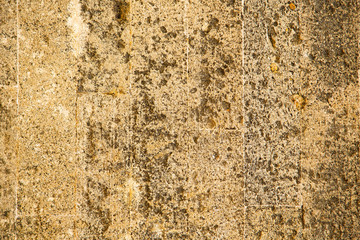 texture l in africa morocco the old   concrete