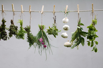 Kr&auml;uter an Leine