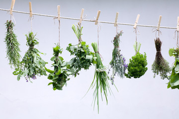 Frische Gartenkräuter