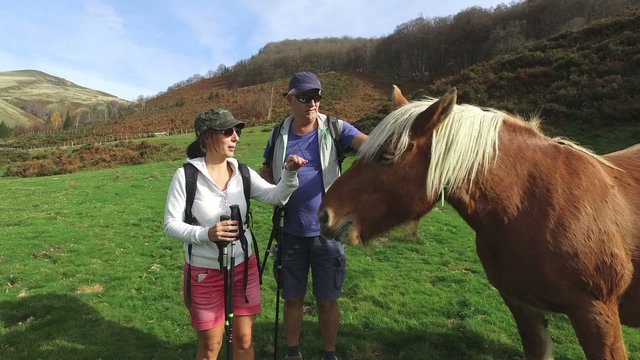 Couple on a hiking day meeting wild horse