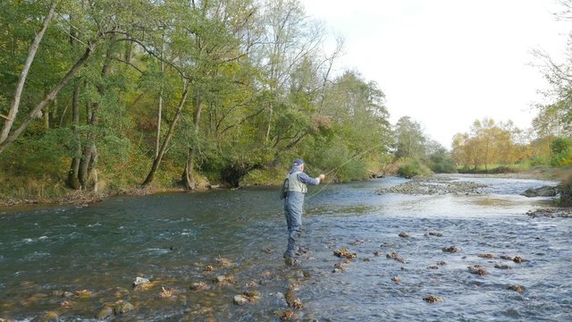Fly- fisherman fishing in river