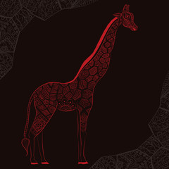 Beautiful adult Giraffe. Hand drawn Illustration of ornamental giraffe.  isolated giraffe on dark background. The head of an ornamental giraffe