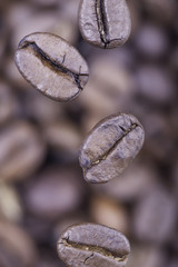 falling coffee beans closeup