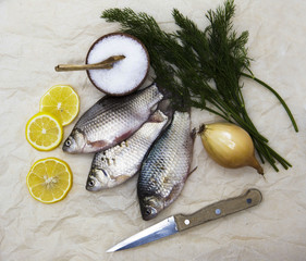 A  fresh carp live fish lying on a on paper background with a knife and slices of lemon and with salt dill. Live fish crucian Carassius auratus gibelio