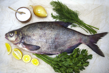 A large live bream river fish  fish lying on  a paper background  with  and slices of lemon and with salt dill