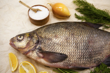 A large live bream river fish  fish lying on  a paper background  with  and slices of lemon and with salt dill