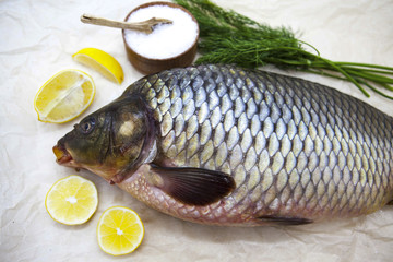 A large fresh carp live fish lying on a on paper background with a knife and slices of lemon and with salt dill